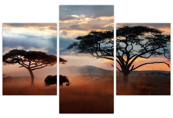 Tablou - Parcul Național Serengeti, Tanzania, Africa (90x60 cm)