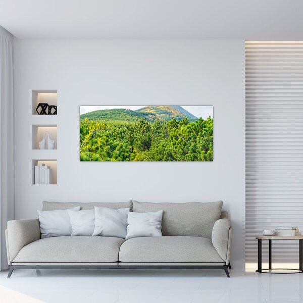 Tablou - Babi Hora, Polonia (120x50 cm)