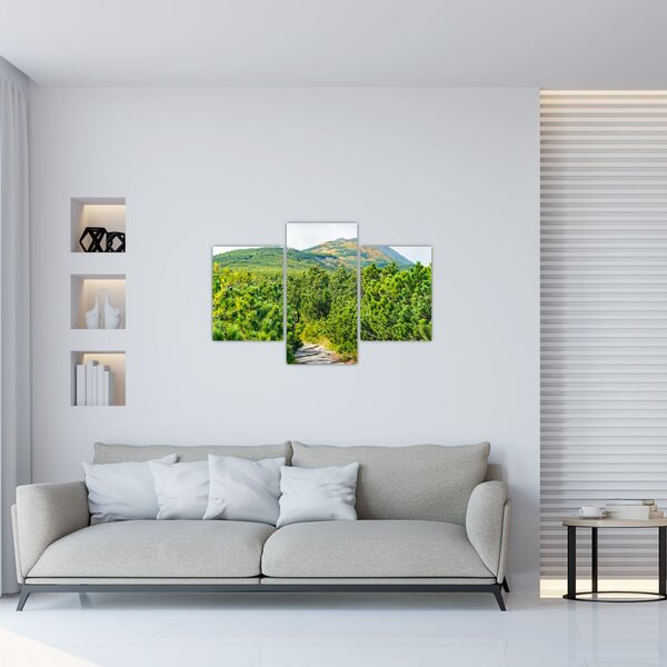 Tablou - Babi Hora, Polonia (90x60 cm)