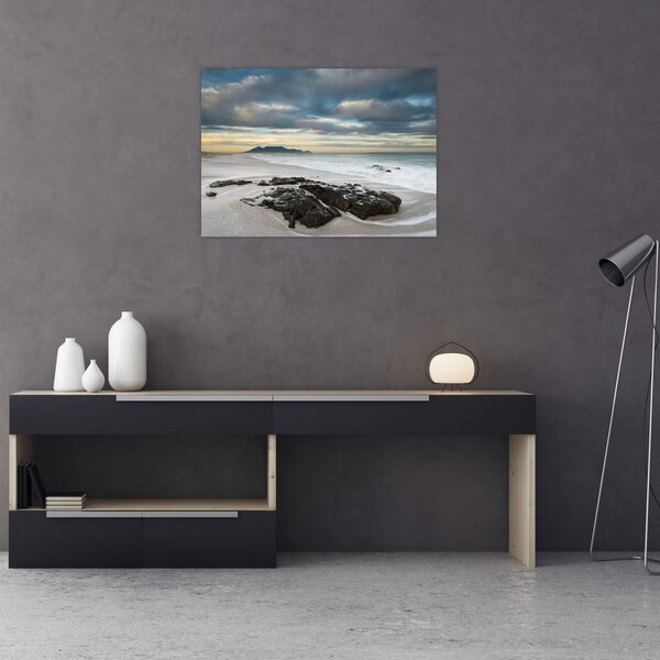 Tablou - Robben Island (70x50 cm)