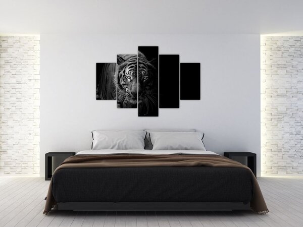 Tablou - Tigru sălbatic (150x105 cm)