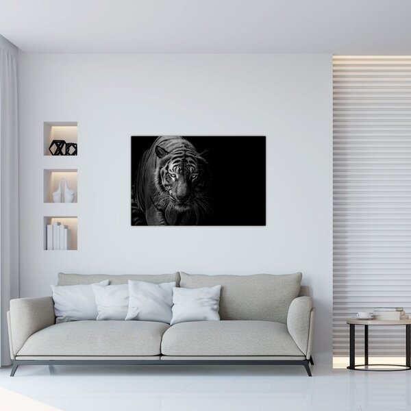 Tablou - Tigru sălbatic (90x60 cm)
