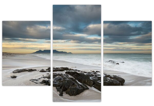 Tablou - Robben Island (90x60 cm)