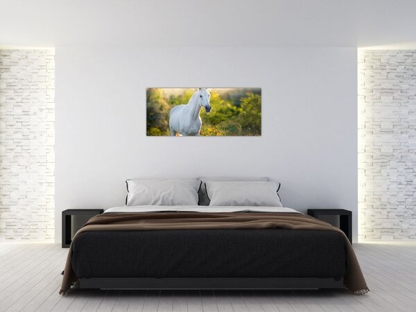 Tablou - Cal alb în poină (120x50 cm)