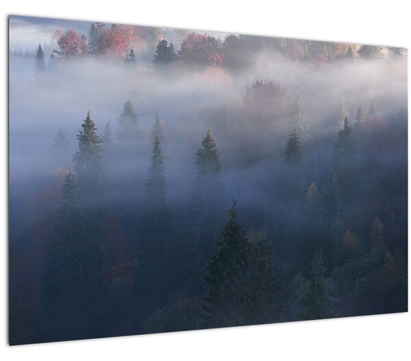 Tablou - Pădure în ceță, Carpați, Ucraina (90x60 cm)