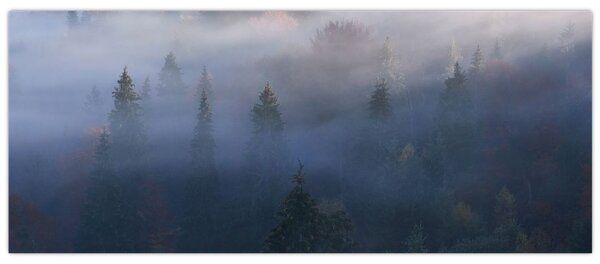 Tablou - Pădure în ceță, Carpați, Ucraina (120x50 cm)
