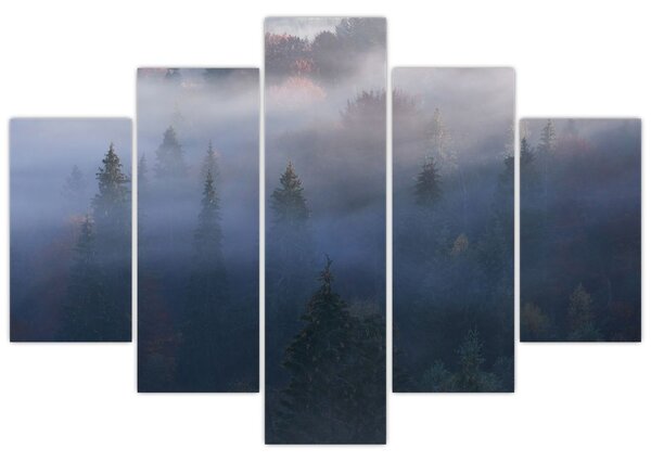 Tablou - Pădure în ceță, Carpați, Ucraina (150x105 cm)