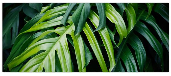 Tablou - Frunze tropicale (120x50 cm)