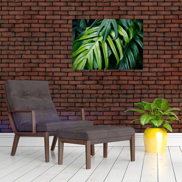 Tablou - Frunze tropicale (70x50 cm)