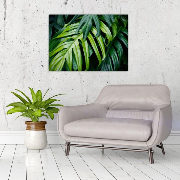 Tablou - Frunze tropicale (70x50 cm)