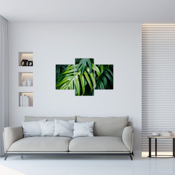 Tablou - Frunze tropicale (90x60 cm)