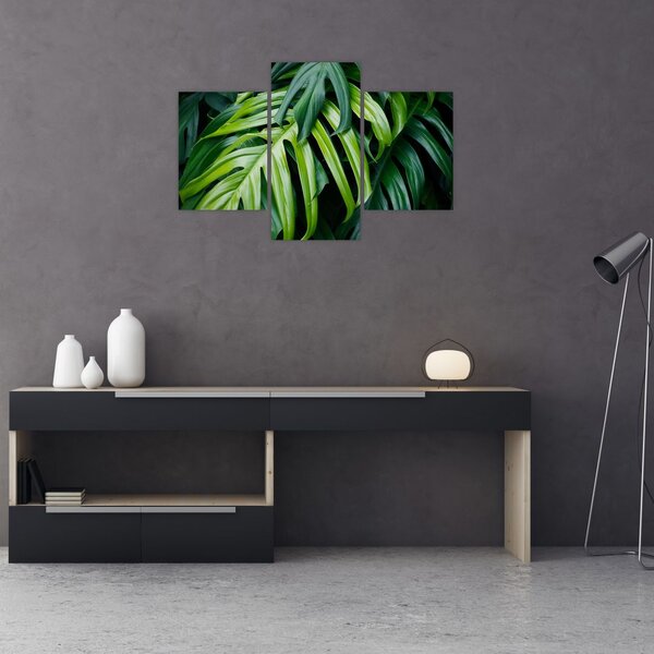 Tablou - Frunze tropicale (90x60 cm)
