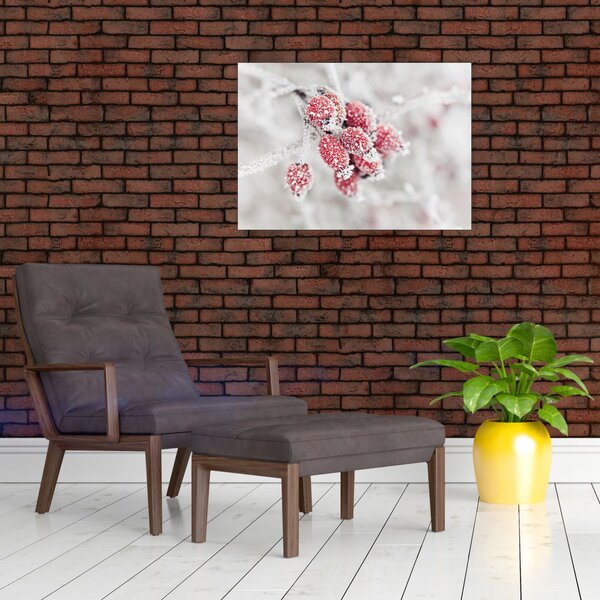Tablou - Fructe congelate (70x50 cm)