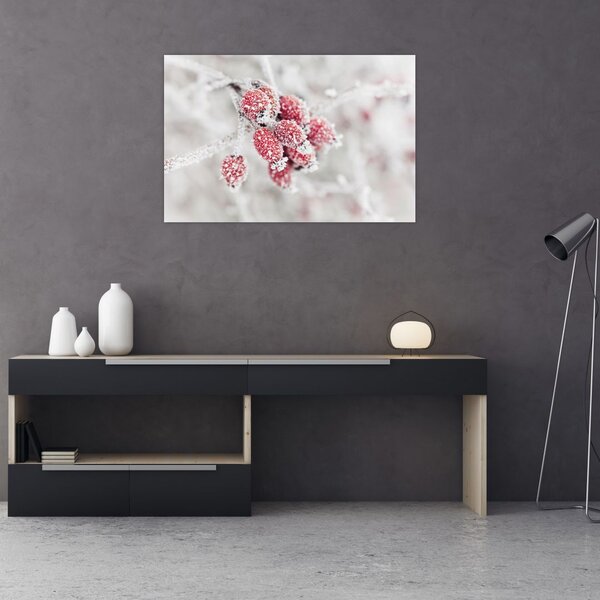 Tablou - Fructe congelate (90x60 cm)