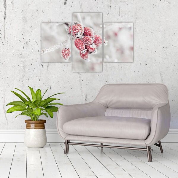 Tablou - Fructe congelate (90x60 cm)