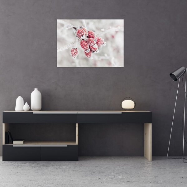 Tablou - Fructe congelate (70x50 cm)