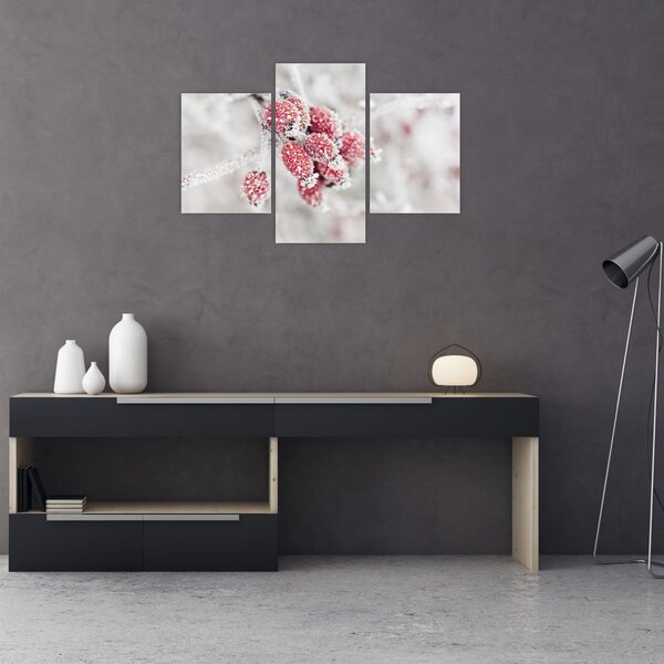 Tablou - Fructe congelate (90x60 cm)