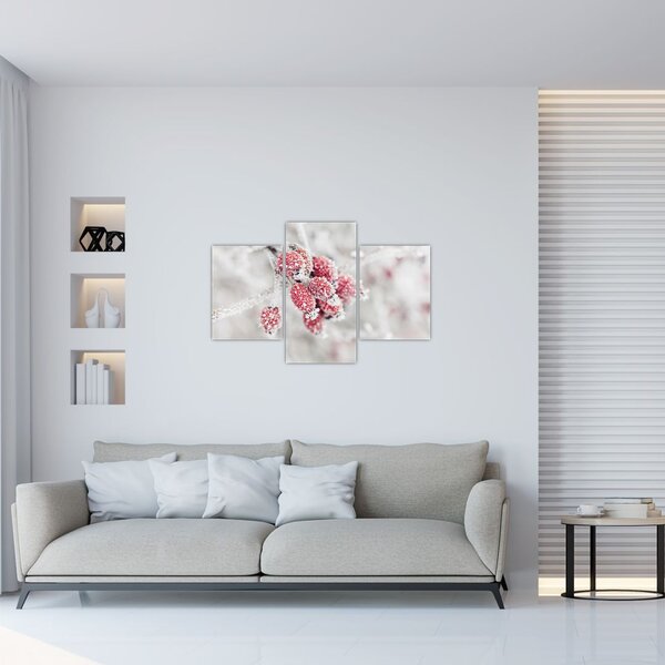 Tablou - Fructe congelate (90x60 cm)