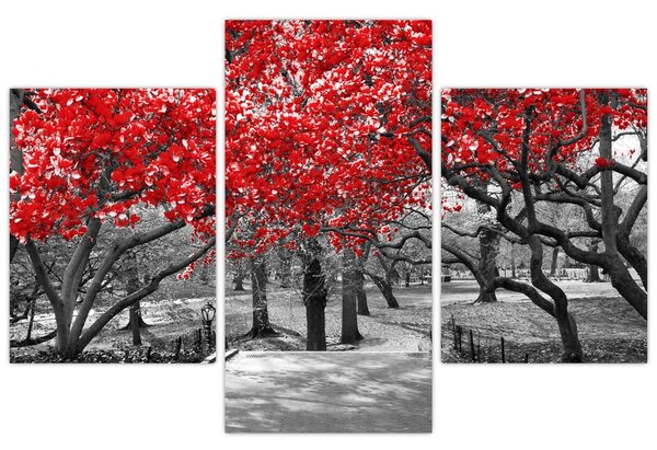 Tablou - Copaci roșii, Central Park, New York (90x60 cm)