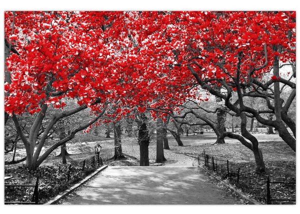 Tablou - Copaci roșii, Central Park, New York (90x60 cm)