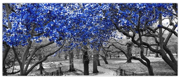 Tablou - Copaci albaștri Central Park, New York (120x50 cm)