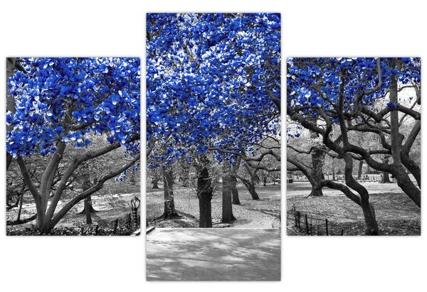 Tablou - Copaci albaștri Central Park, New York (90x60 cm)