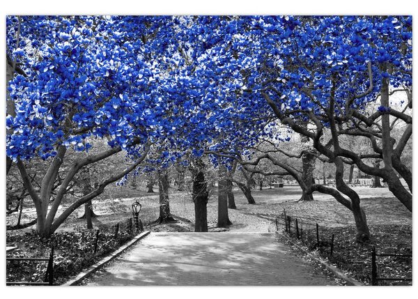 Tablou - Copaci albaștri Central Park, New York (90x60 cm)