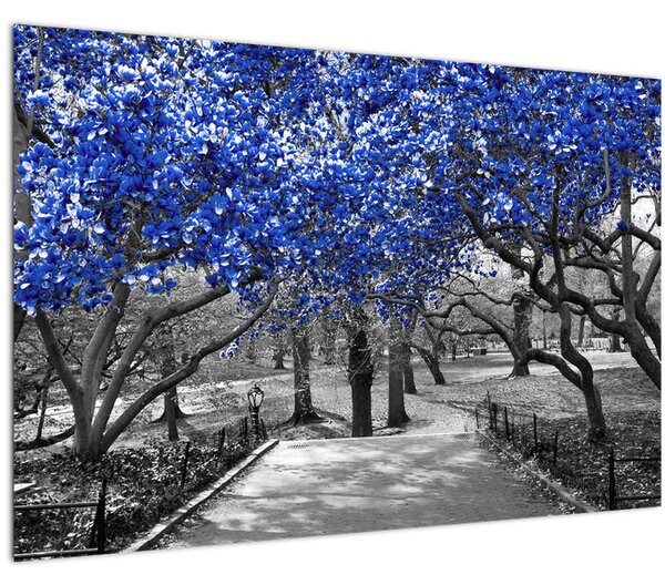 Tablou - Copaci albaștri Central Park, New York (90x60 cm)