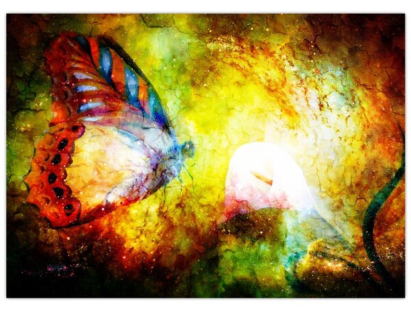 Tablou - Fluture spațial (70x50 cm)