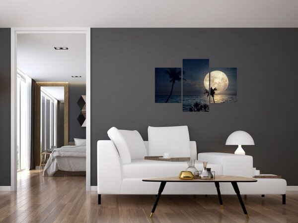 Tablou - Plaja cu lună plină (90x60 cm)