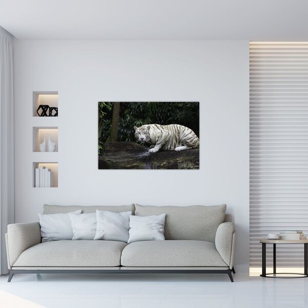 Tablou - Tigru alb (90x60 cm)