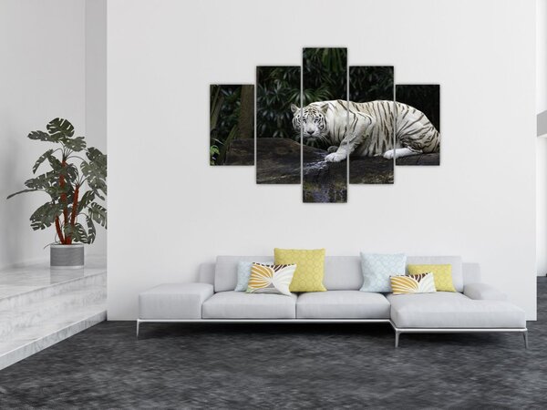 Tablou - Tigru alb (150x105 cm)