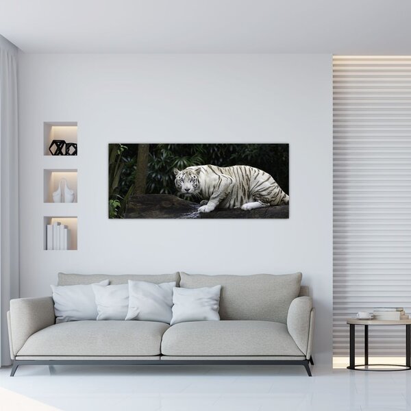 Tablou - Tigru alb (120x50 cm)