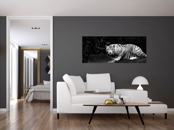 Tablou - Tigru alb, alb-negru (120x50 cm)