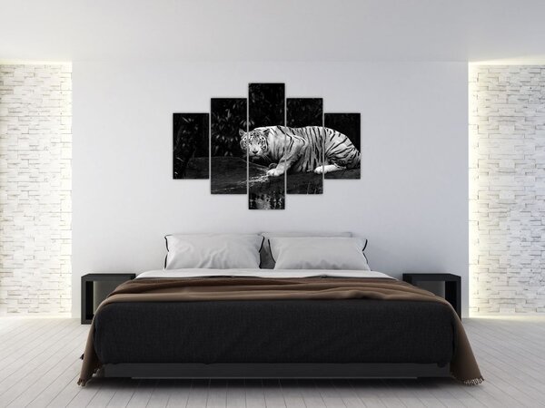 Tablou - Tigru alb, alb-negru (150x105 cm)