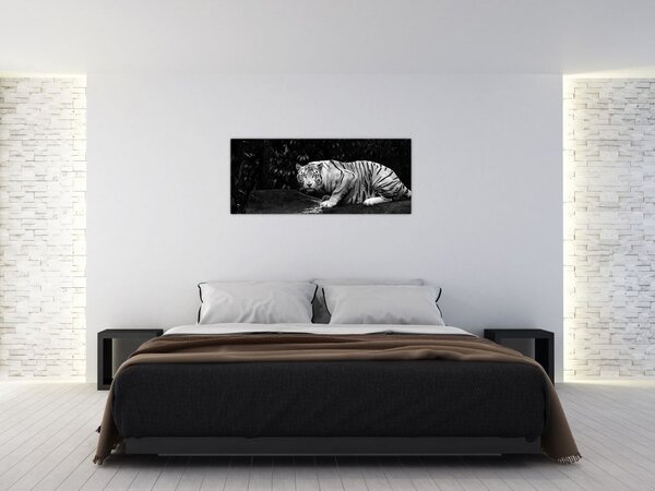 Tablou - Tigru alb, alb-negru (120x50 cm)
