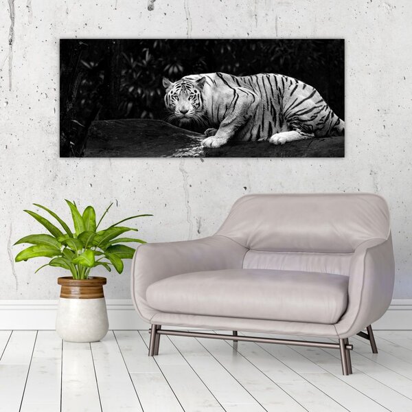 Tablou - Tigru alb, alb-negru (120x50 cm)