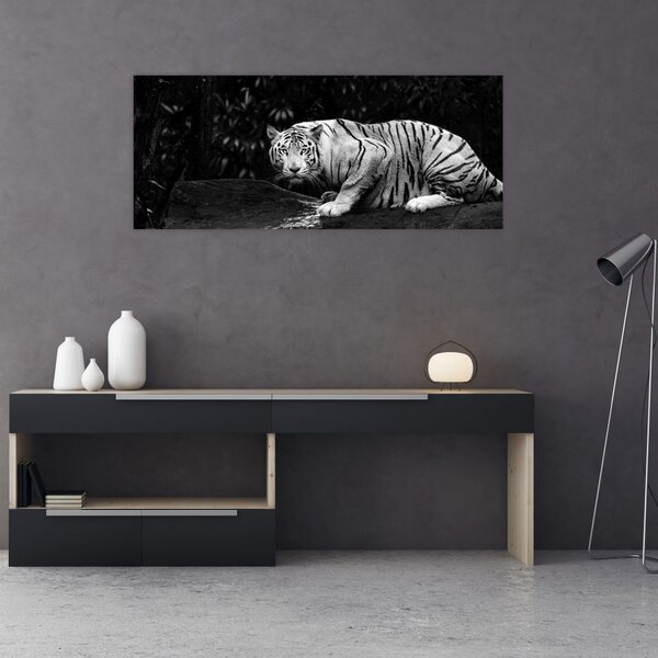 Tablou - Tigru alb, alb-negru (120x50 cm)