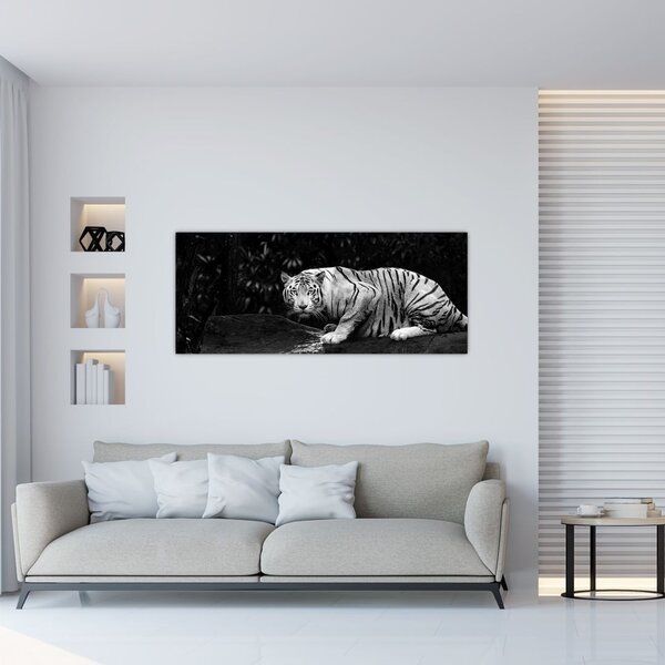 Tablou - Tigru alb, alb-negru (120x50 cm)