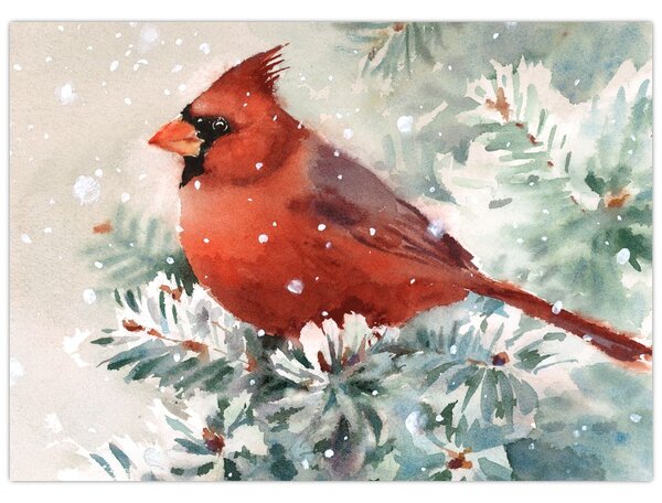 Tablou - Cardinal (70x50 cm)