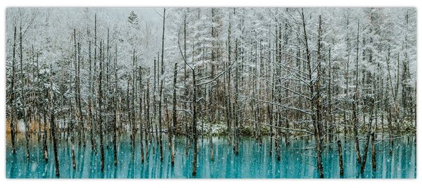 Tablou - Pescărie turcoaz, Biei, Japonia (120x50 cm)