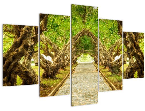 Tablou - Tunel viu din plumeria (150x105 cm)