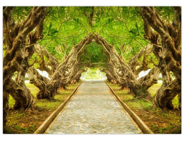 Tablou - Tunel viu din plumeria (70x50 cm)