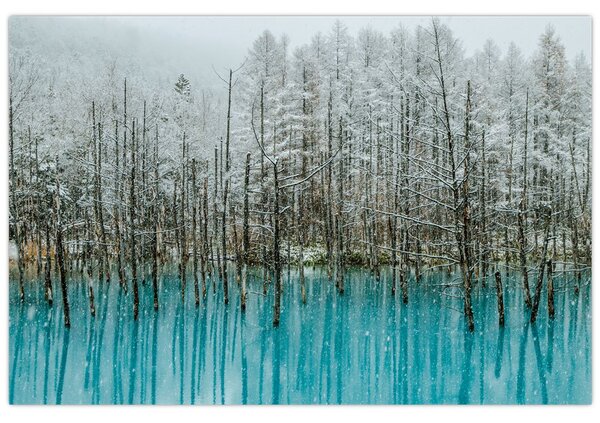 Tablou - Pescărie turcoaz, Biei, Japonia (90x60 cm)