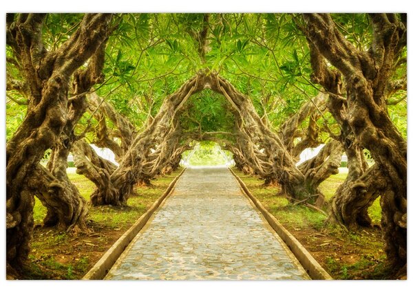 Tablou - Tunel viu din plumeria (90x60 cm)