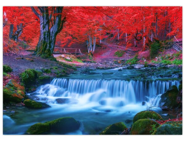 Tablou - Cascada în pădurea roșie (70x50 cm)