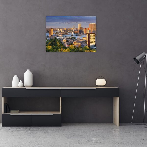 Tablou - Panorama Rotterdamului, Țările de Jos (70x50 cm)
