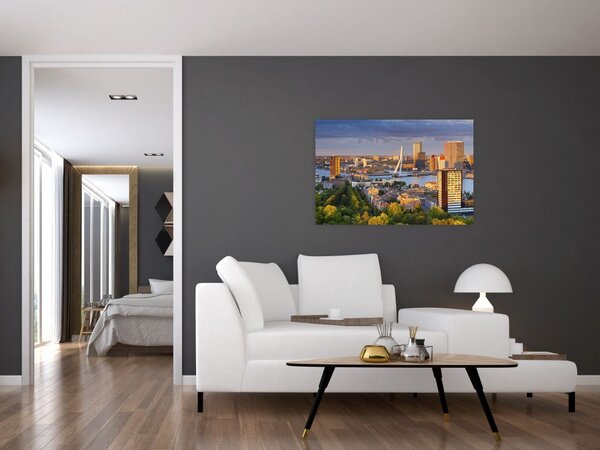Tablou - Panorama Rotterdamului, Țările de Jos (90x60 cm)