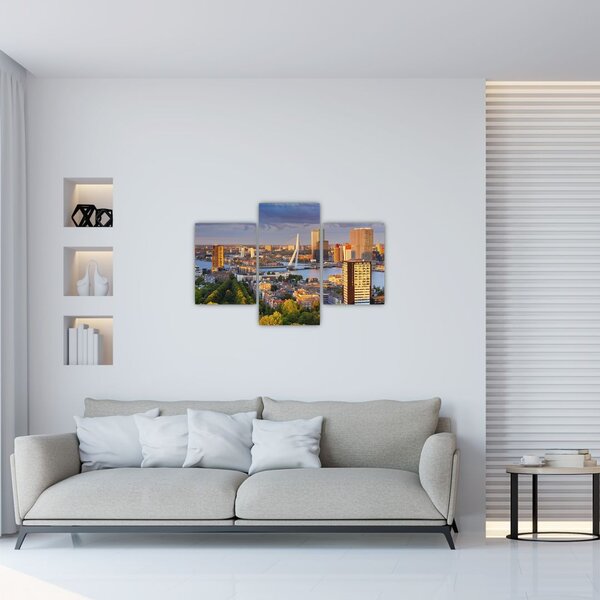 Tablou - Panorama Rotterdamului, Țările de Jos (90x60 cm)