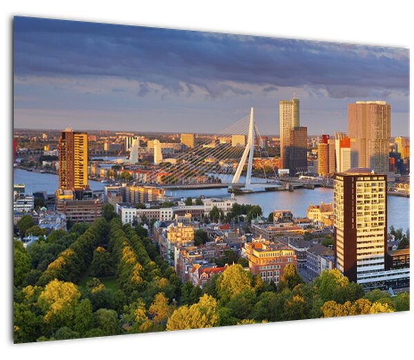 Tablou - Panorama Rotterdamului, Țările de Jos (90x60 cm)